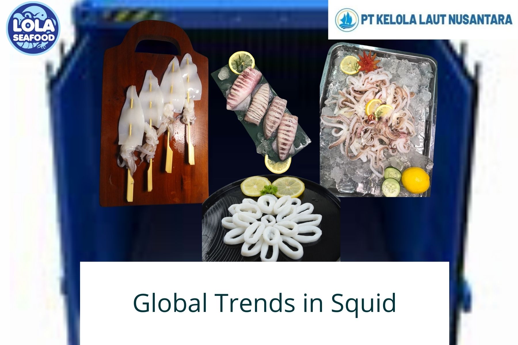 5 thing Global Trends in Squid Export and Import